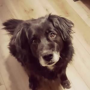 Meet your Posher, Gina